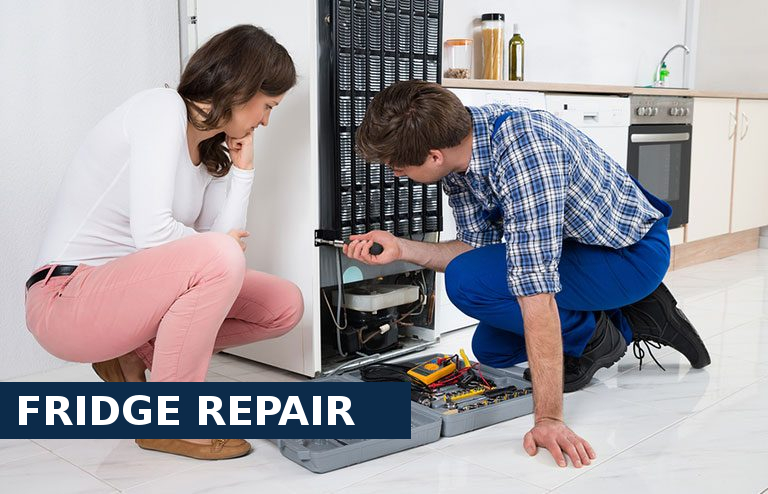 Fridge Repair Brentford